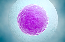 Stem Cell Therapy